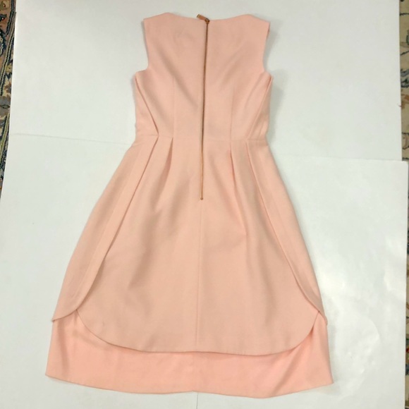 Ted Baker London Pink Midi Dress - Picture 9 of 15